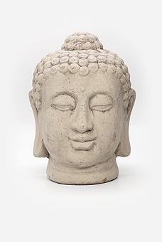 Buddha Zen 