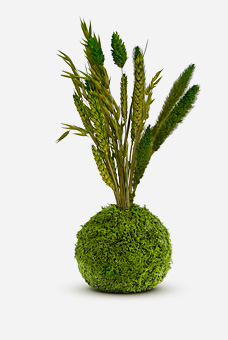Kibonu Flora Grün