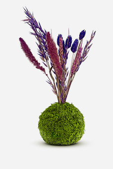 Kibonu Flora Violett