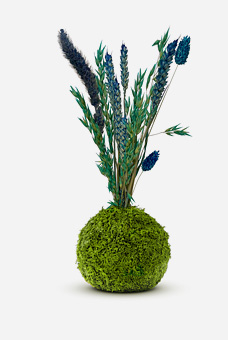 Kibonu Flora Blau